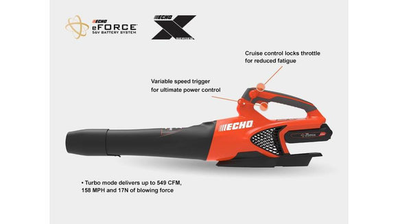 ECHO DPB-2500 With Battery & Rapid Charger